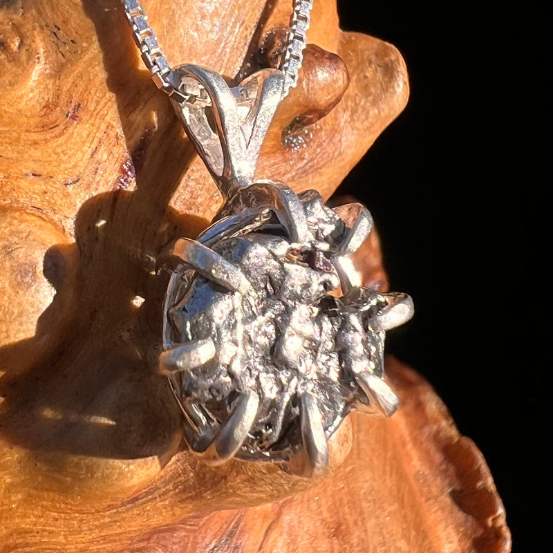 Campo Del Cielo Meteorite Pendant Sterling #7367-Moldavite Life