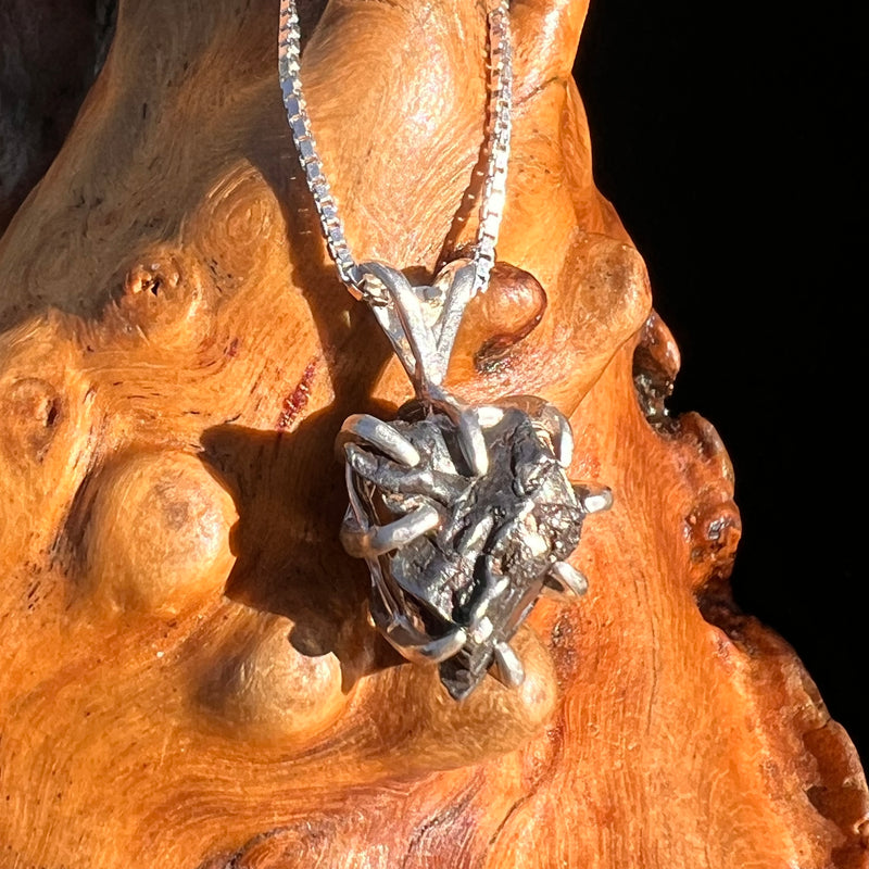 Campo Del Cielo Meteorite Pendant Sterling #7368-Moldavite Life