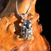 Campo Del Cielo Meteorite Pendant Sterling #7369-Moldavite Life