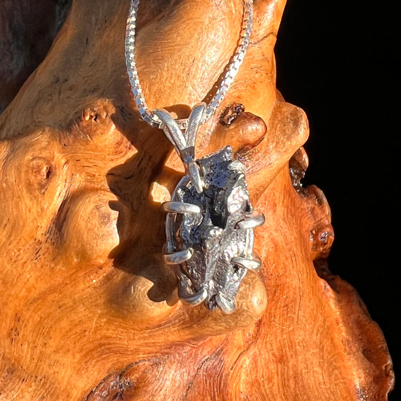 Campo Del Cielo Meteorite Pendant Sterling #7369-Moldavite Life