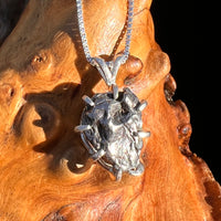 Campo Del Cielo Meteorite Pendant Sterling #7370-Moldavite Life