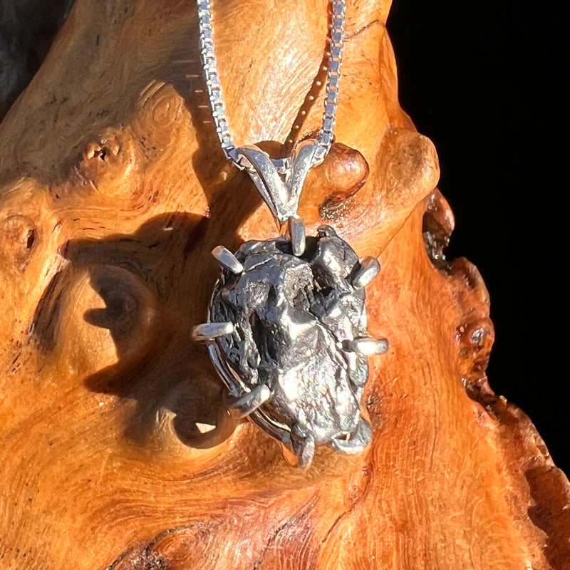 Campo Del Cielo Meteorite Pendant Sterling #7370-Moldavite Life