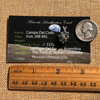 Campo Del Cielo Meteorite Pendant Sterling #7371-Moldavite Life