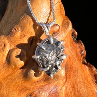 Campo Del Cielo Meteorite Pendant Sterling #7371-Moldavite Life