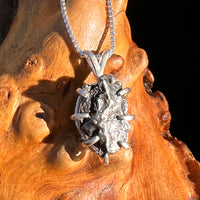 Campo Del Cielo Meteorite Pendant Sterling #7372-Moldavite Life