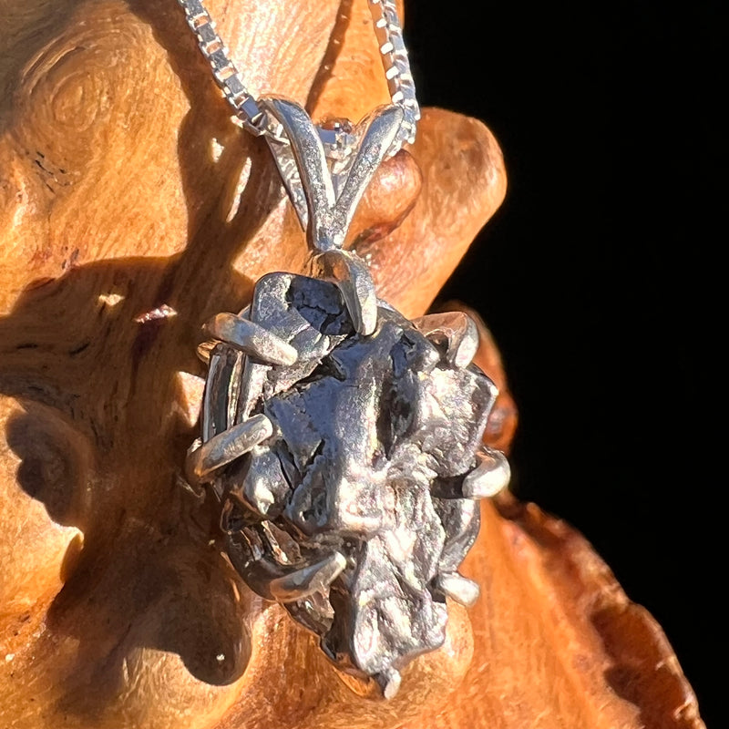 Campo Del Cielo Meteorite Pendant Sterling #7373-Moldavite Life