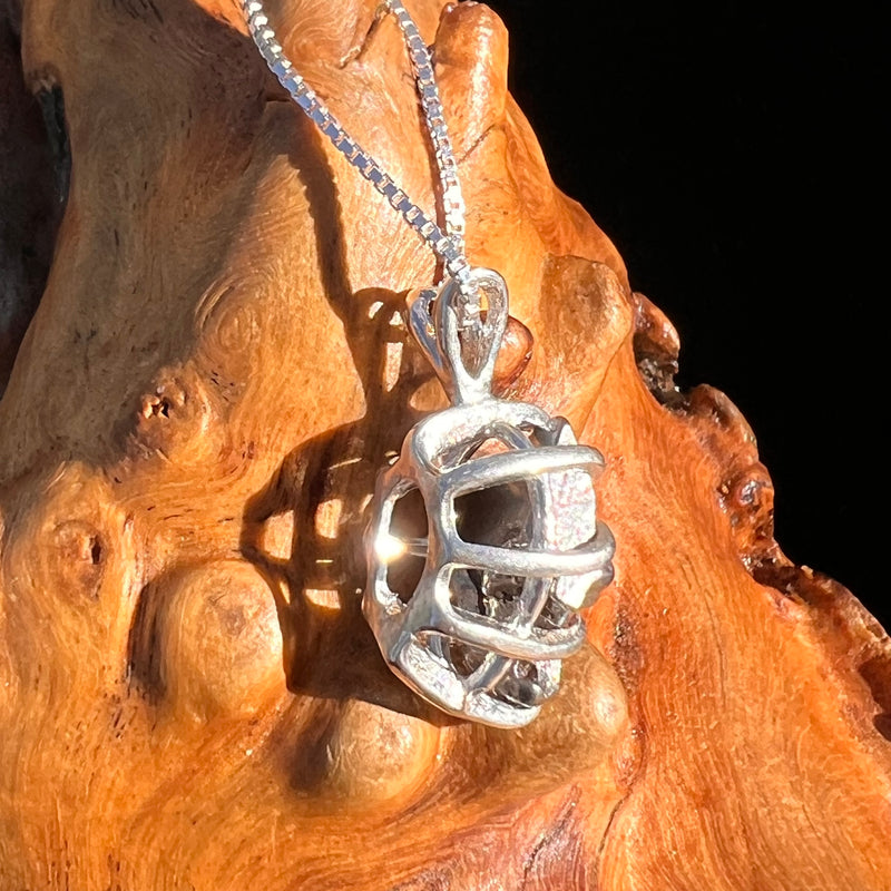 Campo Del Cielo Meteorite Pendant Sterling #7373-Moldavite Life