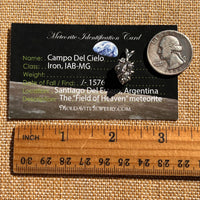 Campo Del Cielo Meteorite Pendant Sterling #7373-Moldavite Life