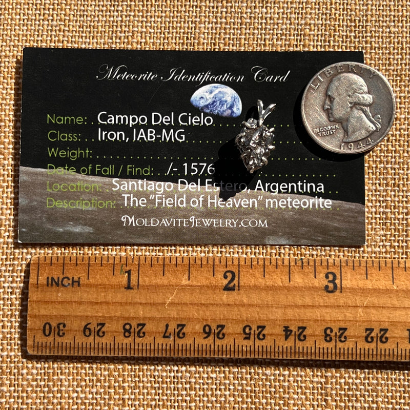 Campo Del Cielo Meteorite Pendant Sterling #7373-Moldavite Life