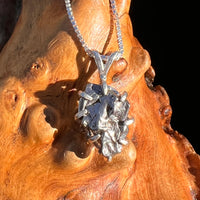 Campo Del Cielo Meteorite Pendant Sterling #7373-Moldavite Life