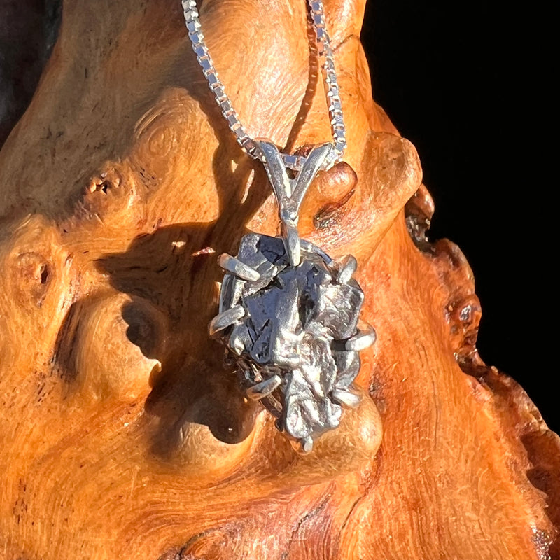 Campo Del Cielo Meteorite Pendant Sterling #7373-Moldavite Life