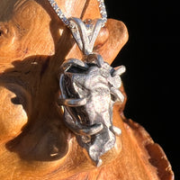 Campo Del Cielo Meteorite Pendant Sterling #7374-Moldavite Life