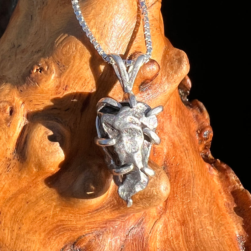 Campo Del Cielo Meteorite Pendant Sterling #7374-Moldavite Life