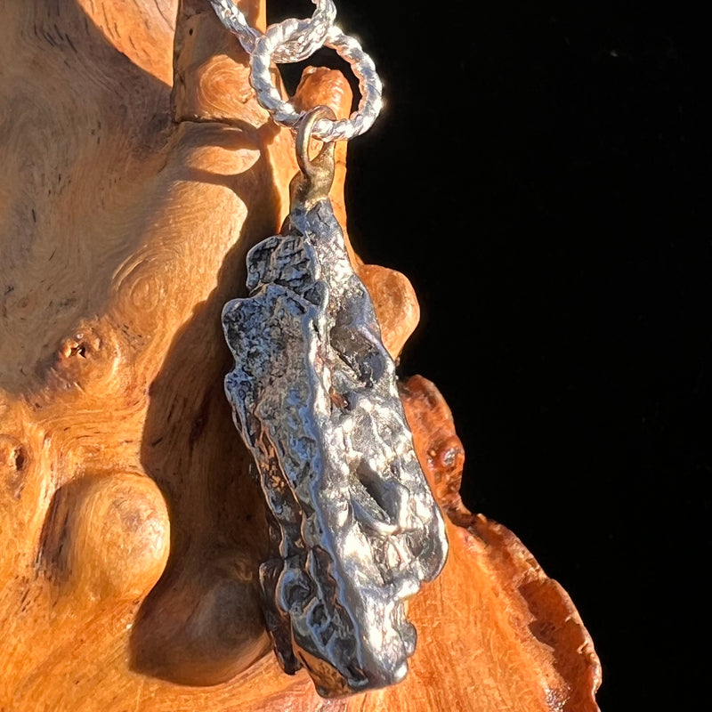 Campo Del Cielo Meteorite Pendant Sterling #7376-Moldavite Life