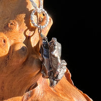 Campo Del Cielo Meteorite Pendant Sterling #7378-Moldavite Life