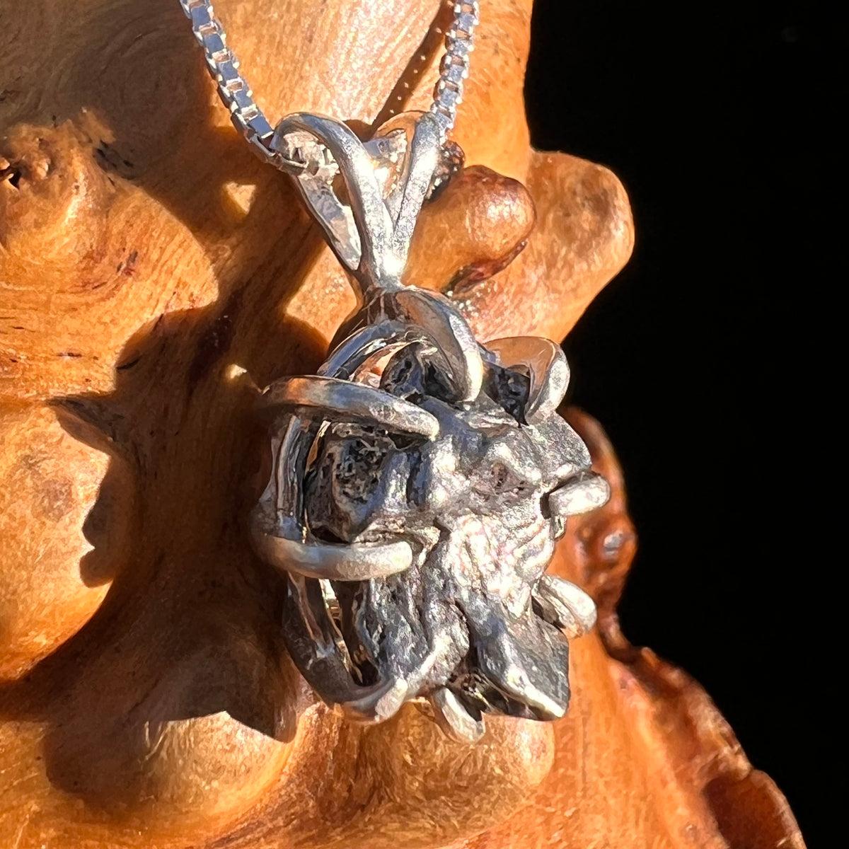 Campo Del Cielo Meteorite Pendant Sterling #7381-Moldavite Life