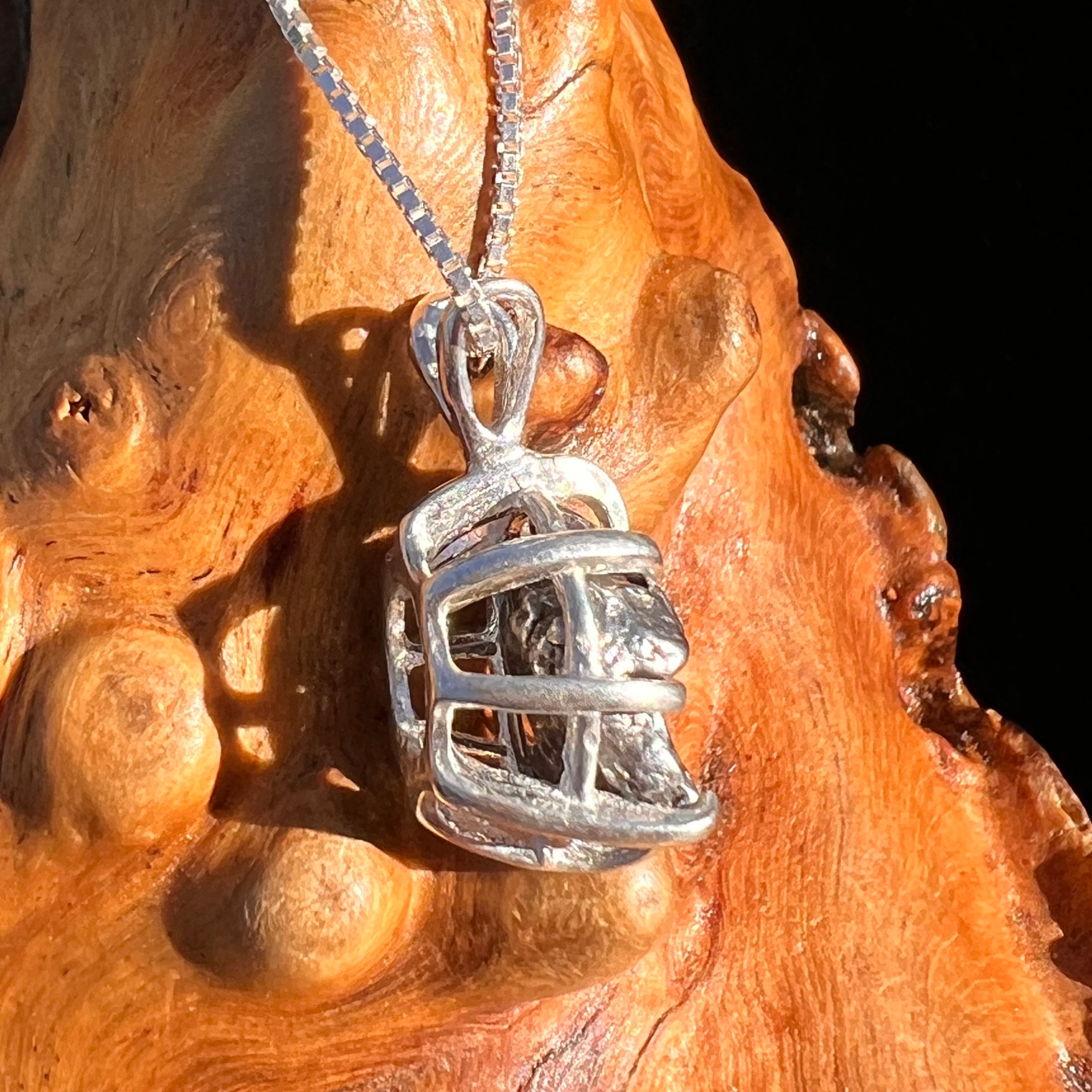 Campo Del Cielo Meteorite Pendant Sterling #7381-Moldavite Life