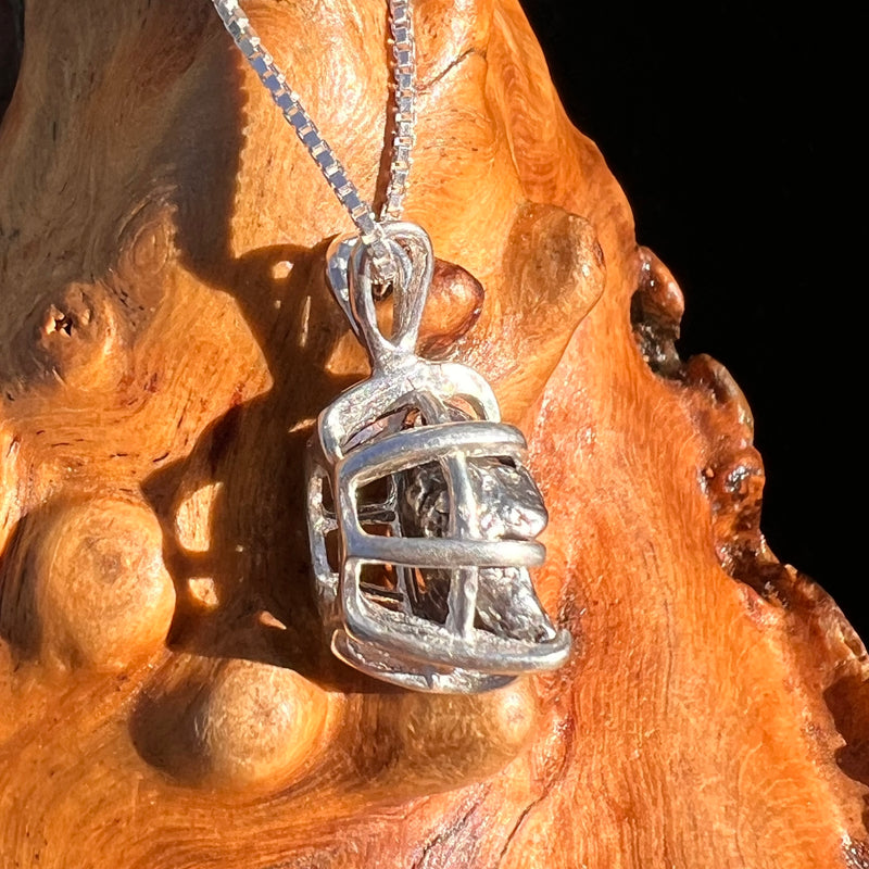 Campo Del Cielo Meteorite Pendant Sterling #7381-Moldavite Life