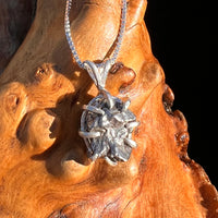 Campo Del Cielo Meteorite Pendant Sterling #7381-Moldavite Life