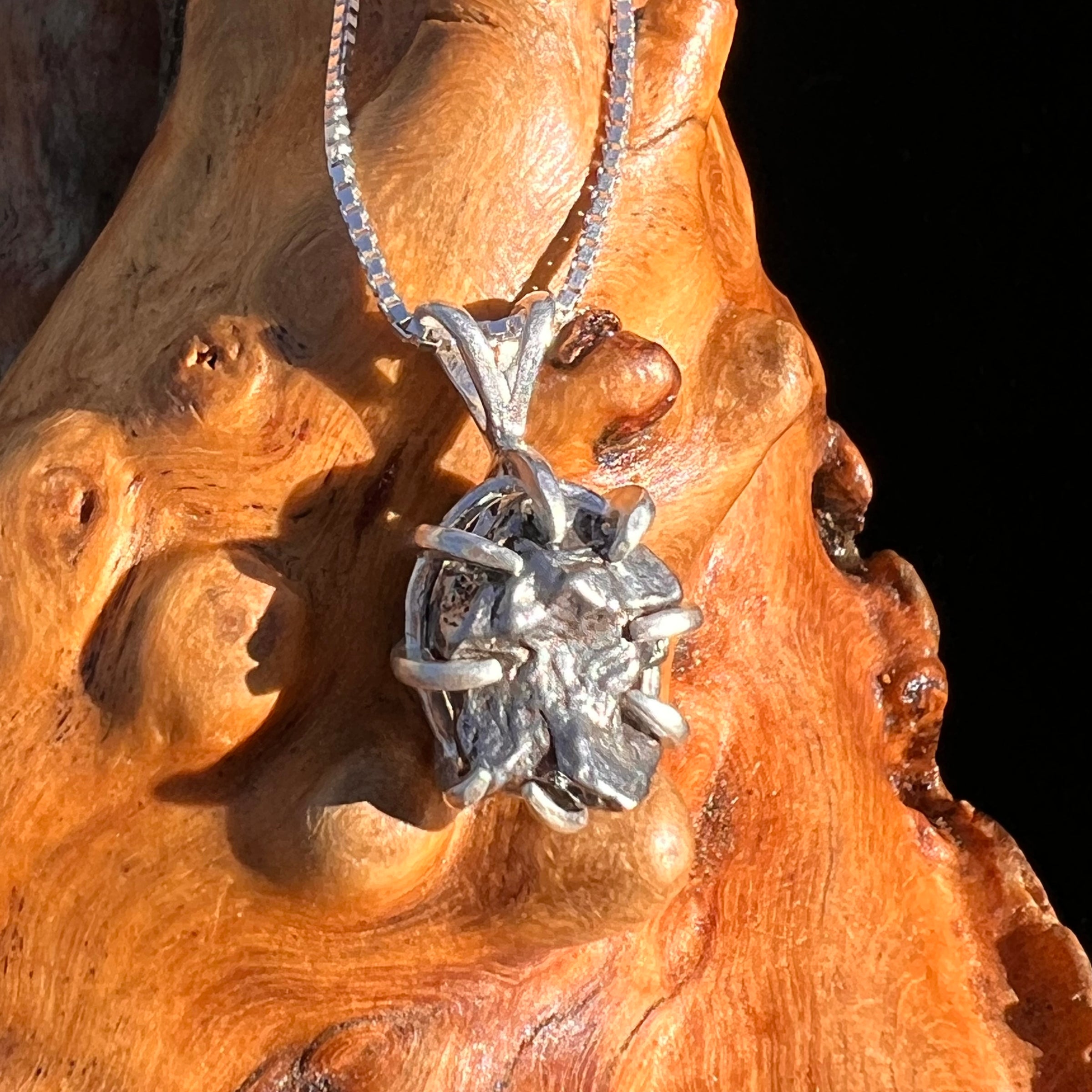 Campo Del Cielo Meteorite Pendant Sterling #7381-Moldavite Life