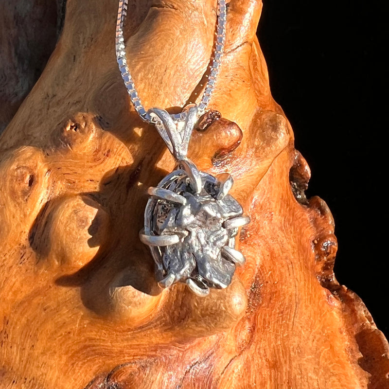 Campo Del Cielo Meteorite Pendant Sterling #7381-Moldavite Life