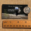 Campo Del Cielo Meteorite Pendant Sterling #7382-Moldavite Life