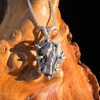 Campo Del Cielo Meteorite Pendant Sterling #7382-Moldavite Life