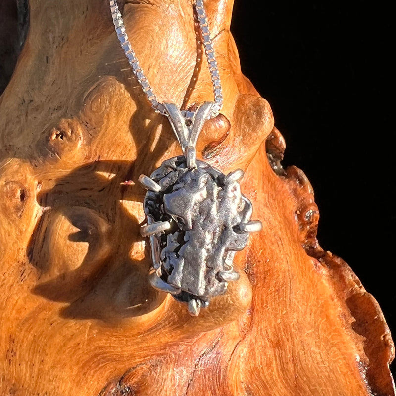 Campo Del Cielo Meteorite Pendant Sterling #7382-Moldavite Life
