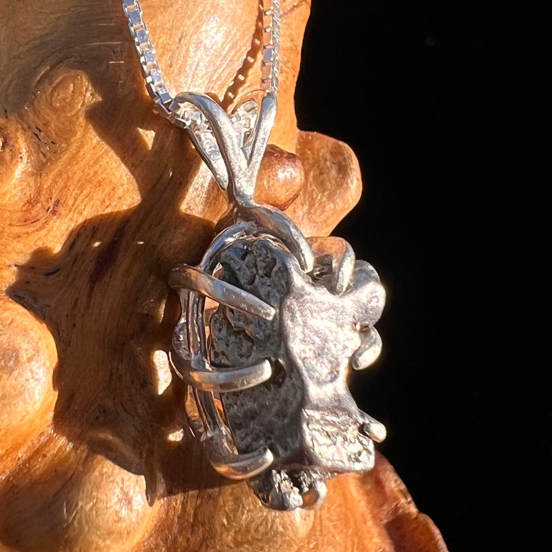 Campo Del Cielo Meteorite Pendant Sterling #7383-Moldavite Life
