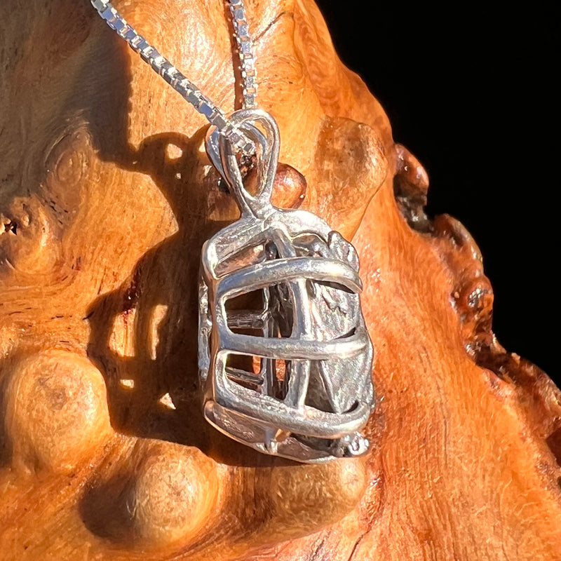 Campo Del Cielo Meteorite Pendant Sterling #7383-Moldavite Life