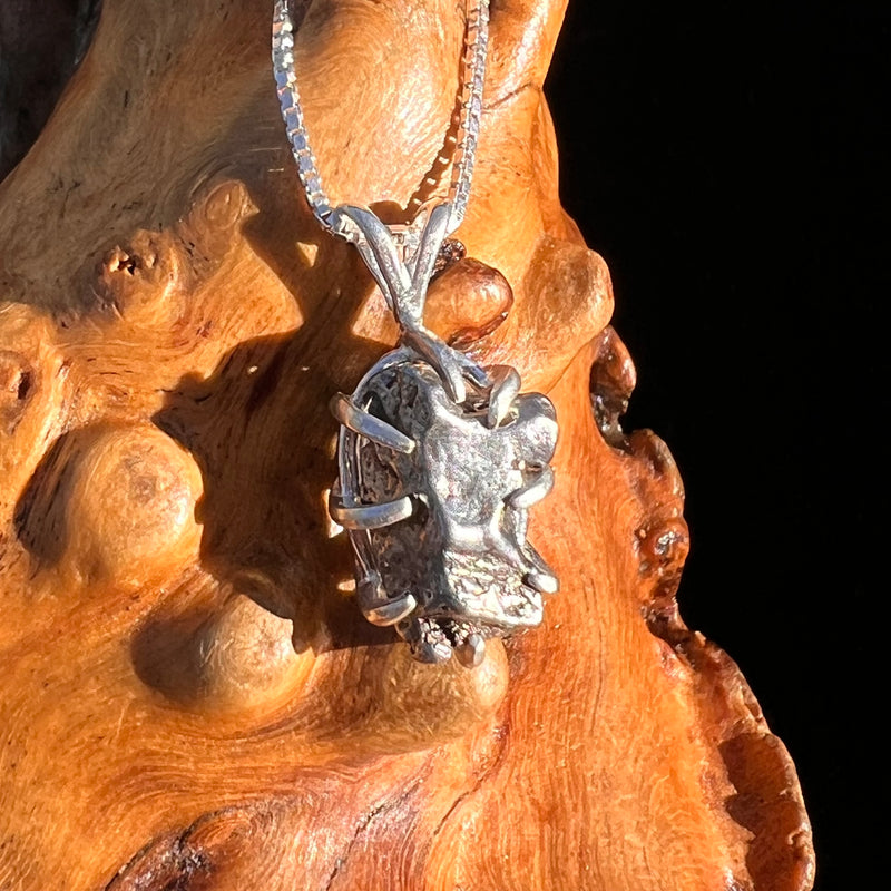 Campo Del Cielo Meteorite Pendant Sterling #7383-Moldavite Life