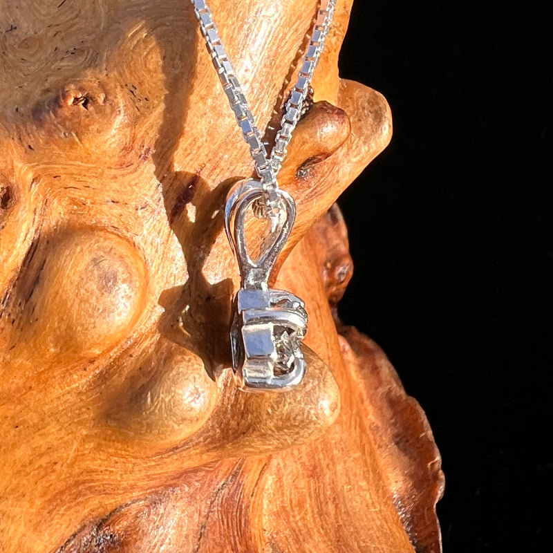 Campo Del Cielo Meteorite Pendant Sterling #7710-Moldavite Life