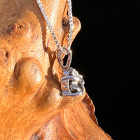 Campo Del Cielo Meteorite Pendant Sterling #7714-Moldavite Life