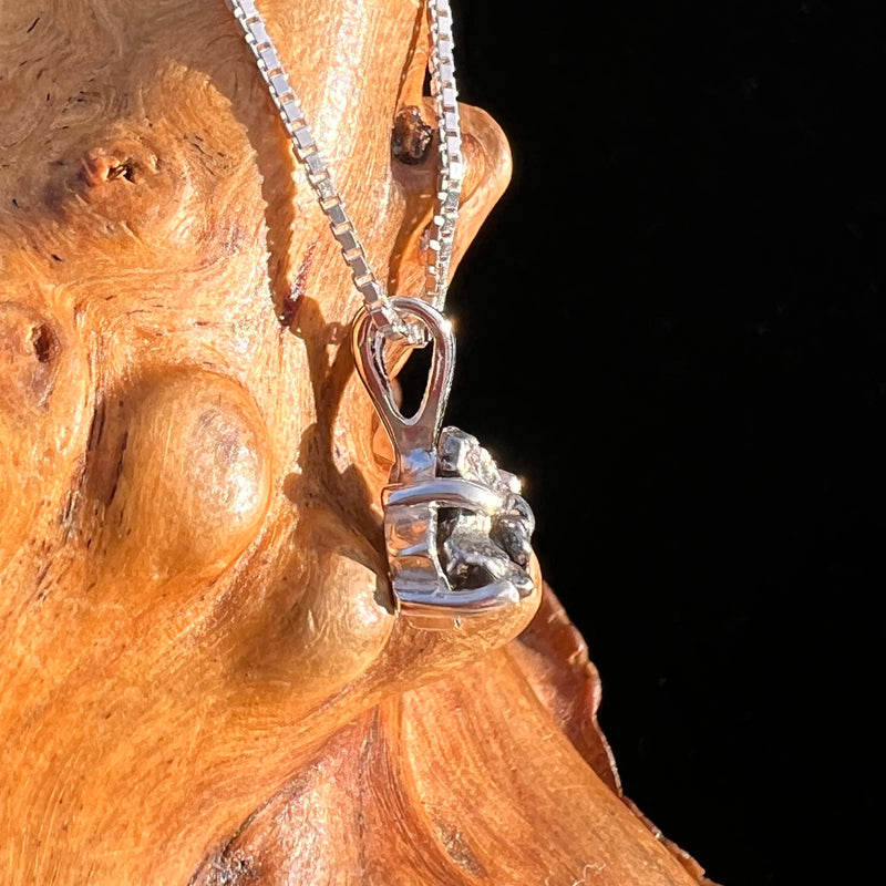 Campo Del Cielo Meteorite Pendant Sterling #7714-Moldavite Life