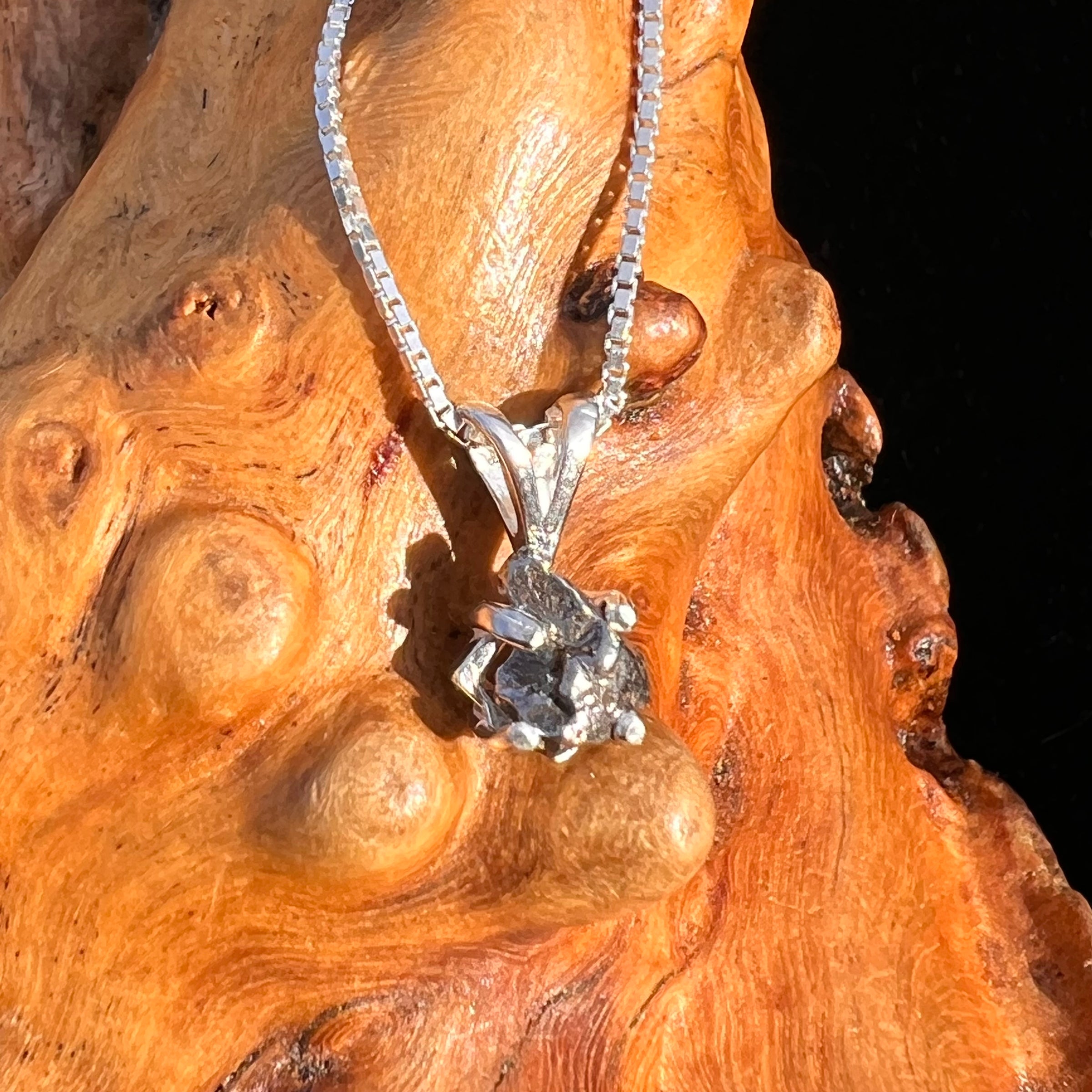 Campo Del Cielo Meteorite Pendant Sterling #7714-Moldavite Life