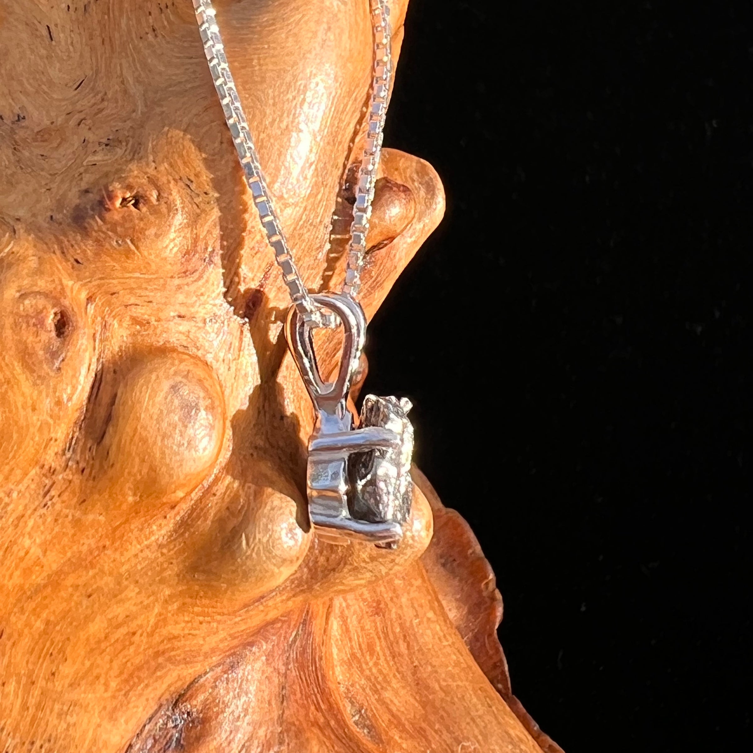 Campo Del Cielo Meteorite Pendant Sterling #7716-Moldavite Life