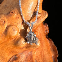 Campo Del Cielo Meteorite Pendant Sterling #7716-Moldavite Life