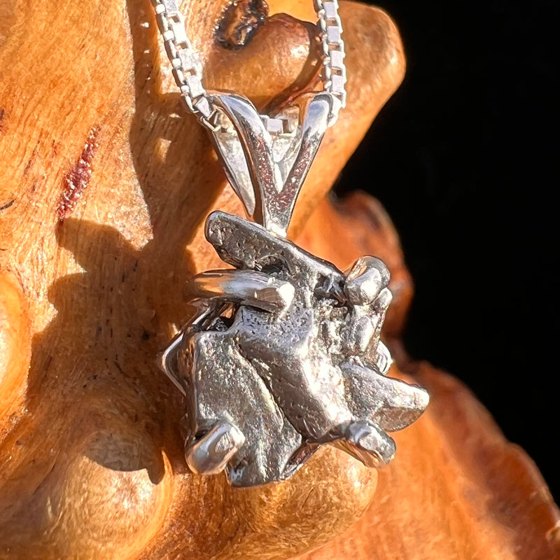 Campo Del Cielo Meteorite Pendant Sterling #7726-Moldavite Life