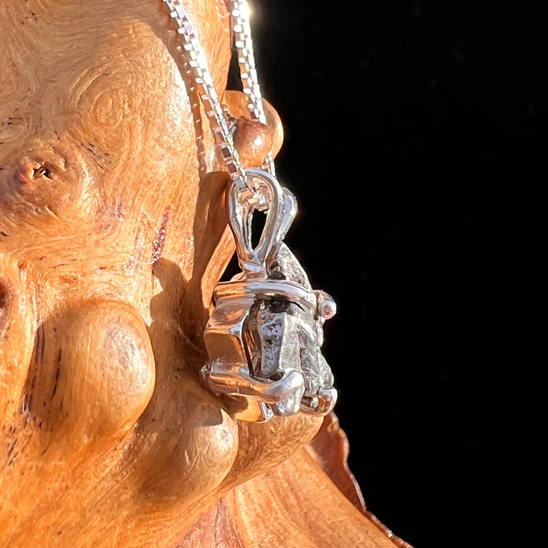 Campo Del Cielo Meteorite Pendant Sterling #7726-Moldavite Life
