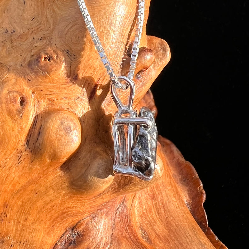 Campo Del Cielo Meteorite Pendant Sterling #7727-Moldavite Life
