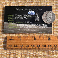 Campo Del Cielo Meteorite Pendant Sterling #7727-Moldavite Life