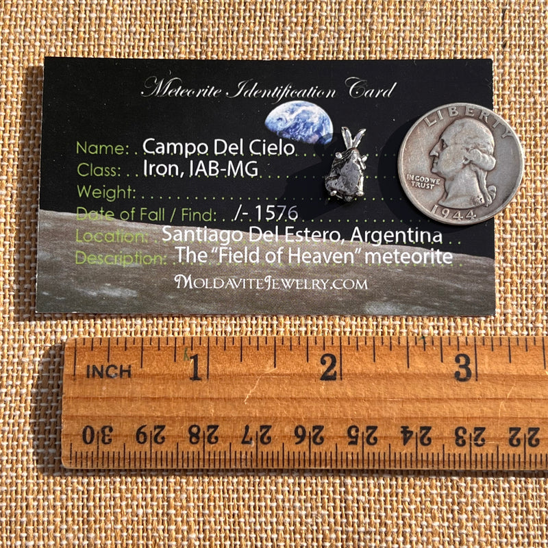 Campo Del Cielo Meteorite Pendant Sterling #7727-Moldavite Life