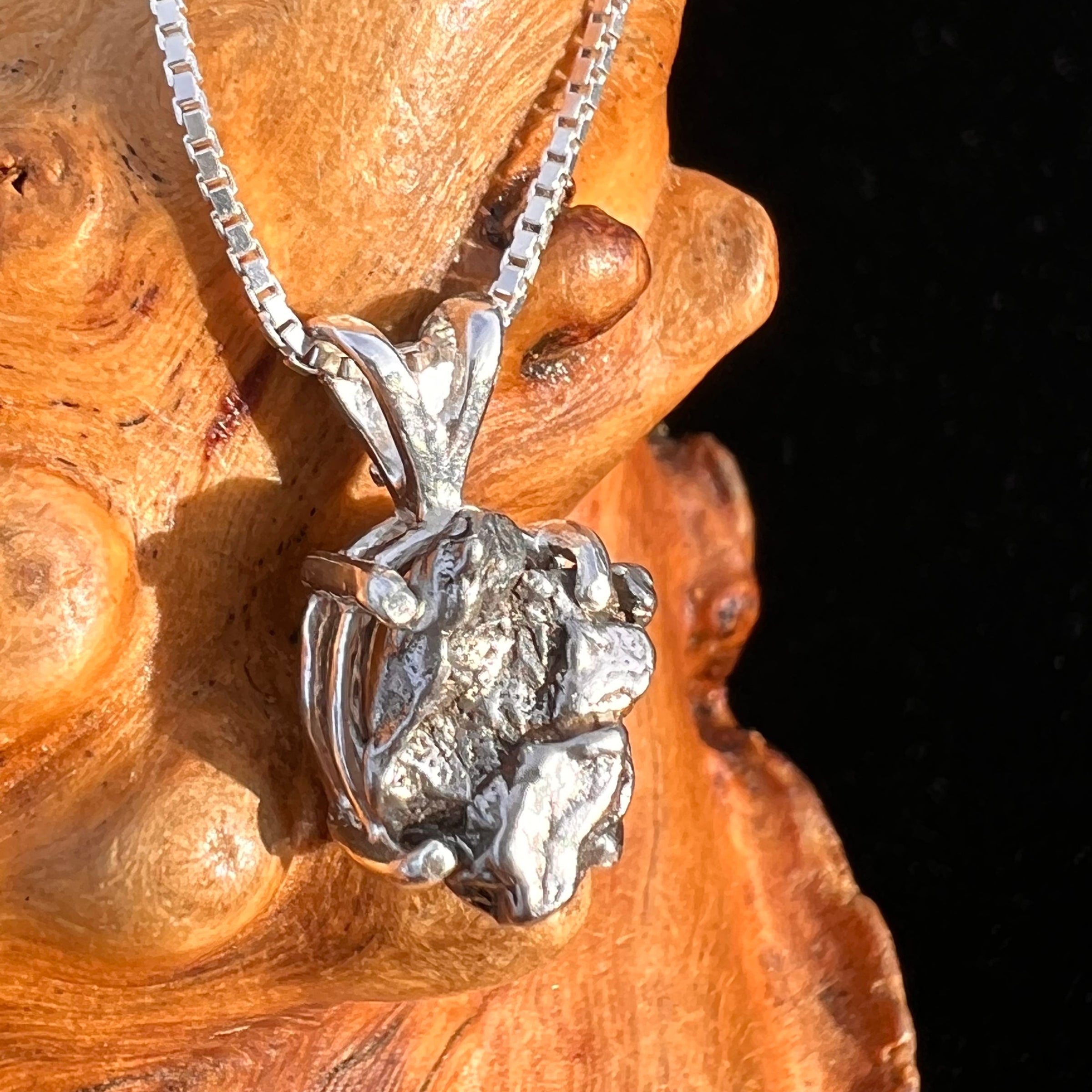 Campo Del Cielo Meteorite Pendant Sterling #7728-Moldavite Life