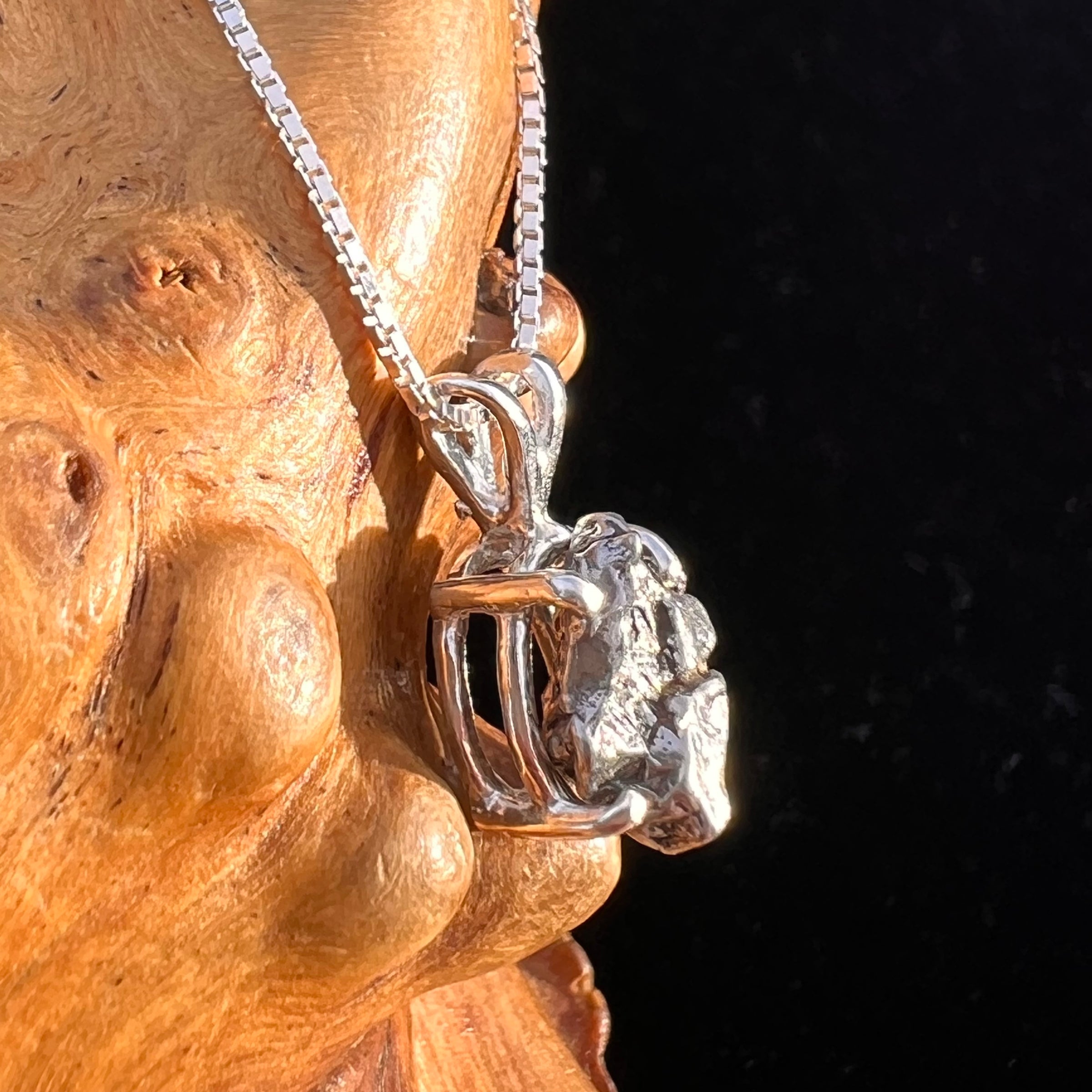 Campo Del Cielo Meteorite Pendant Sterling #7728-Moldavite Life