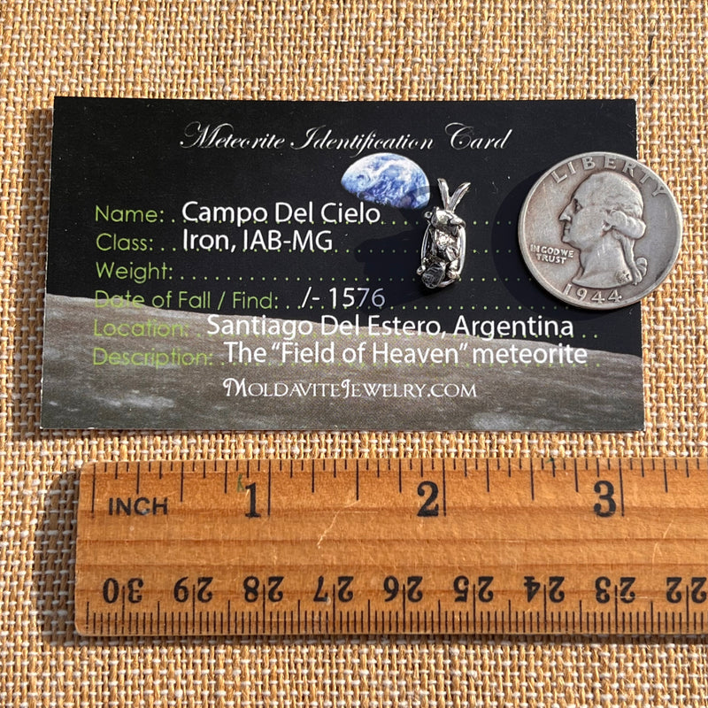 Campo Del Cielo Meteorite Pendant Sterling #7729-Moldavite Life