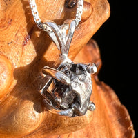 Campo Del Cielo Meteorite Pendant Sterling #7730-Moldavite Life