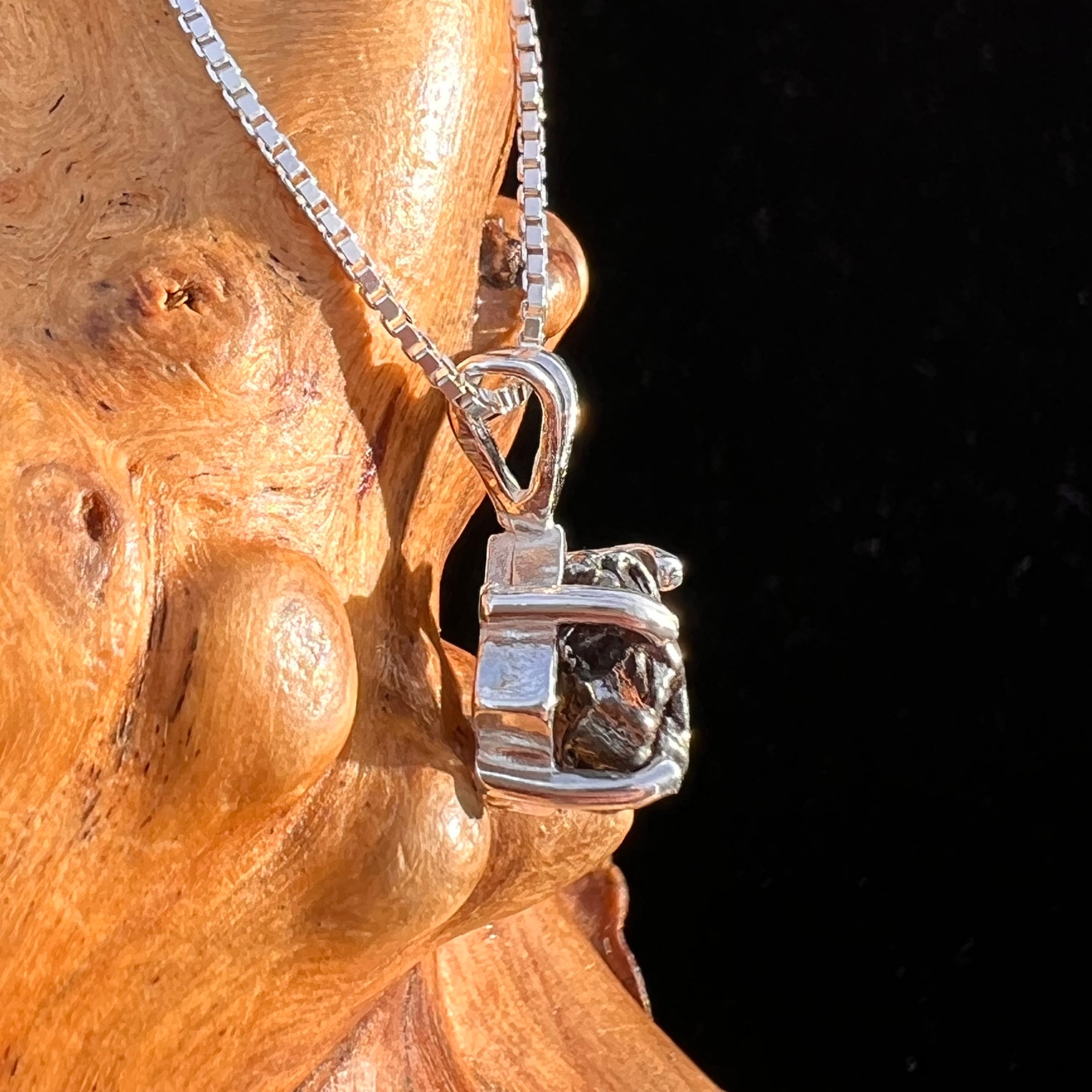 Campo Del Cielo Meteorite Pendant Sterling #7730-Moldavite Life