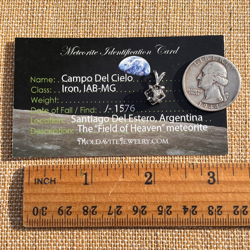 Campo Del Cielo Meteorite Pendant Sterling #7730-Moldavite Life