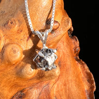 Campo Del Cielo Meteorite Pendant Sterling #7730-Moldavite Life