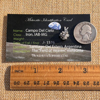 Campo Del Cielo Meteorite Pendant Sterling #7731-Moldavite Life